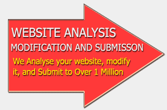 Our special enhancement program.  We will analyse your page, modify it, suggest content and submit to over 1 million search-engines and indexes