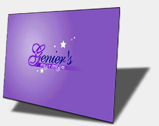 Flash logo:  Genier Designs.  Click here to view full animation