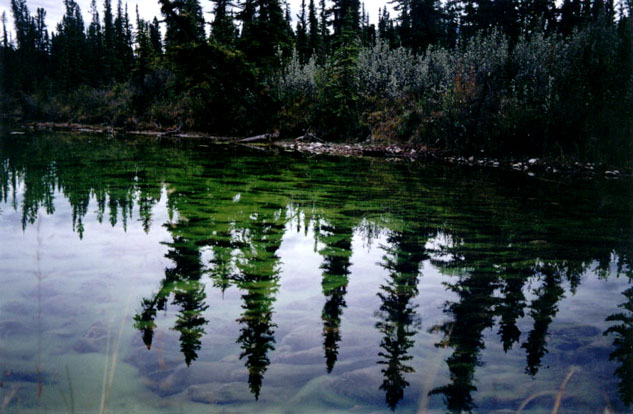 Water reflections